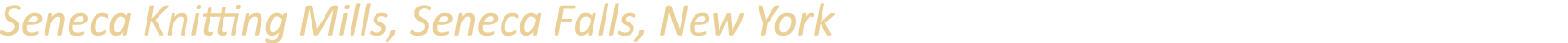 Seneca Knitting Mills, Seneca Falls, New York