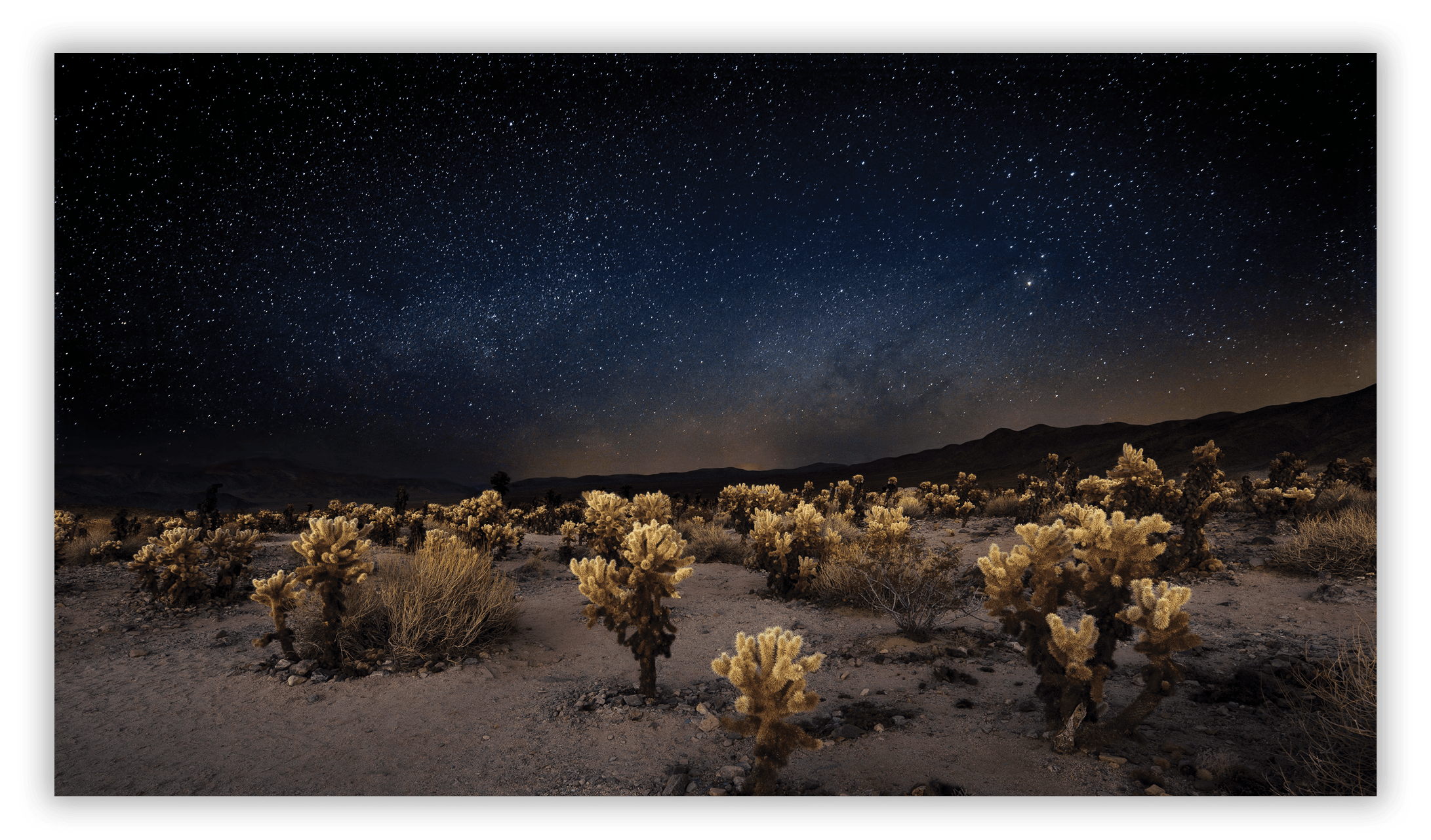 Joshua Tree National Park