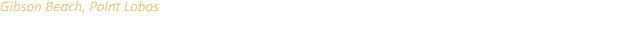 Gibson Beach, Point Lobos A rocky, tree covered headland jutting out into the Pacific, Point Lobos marks the north en...