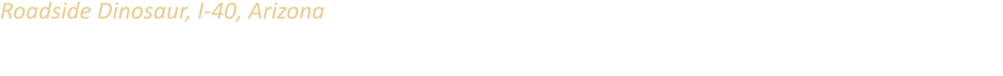 Roadside Dinosaur, I 40, Arizona One of several concrete dinosaurs placed along the interstate near Holbrook, Arizona...