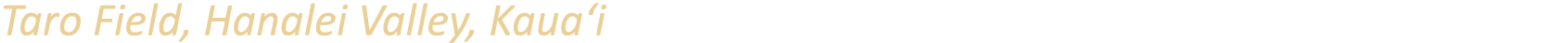 Taro Field, Hanalei Valley, Kaua‘i