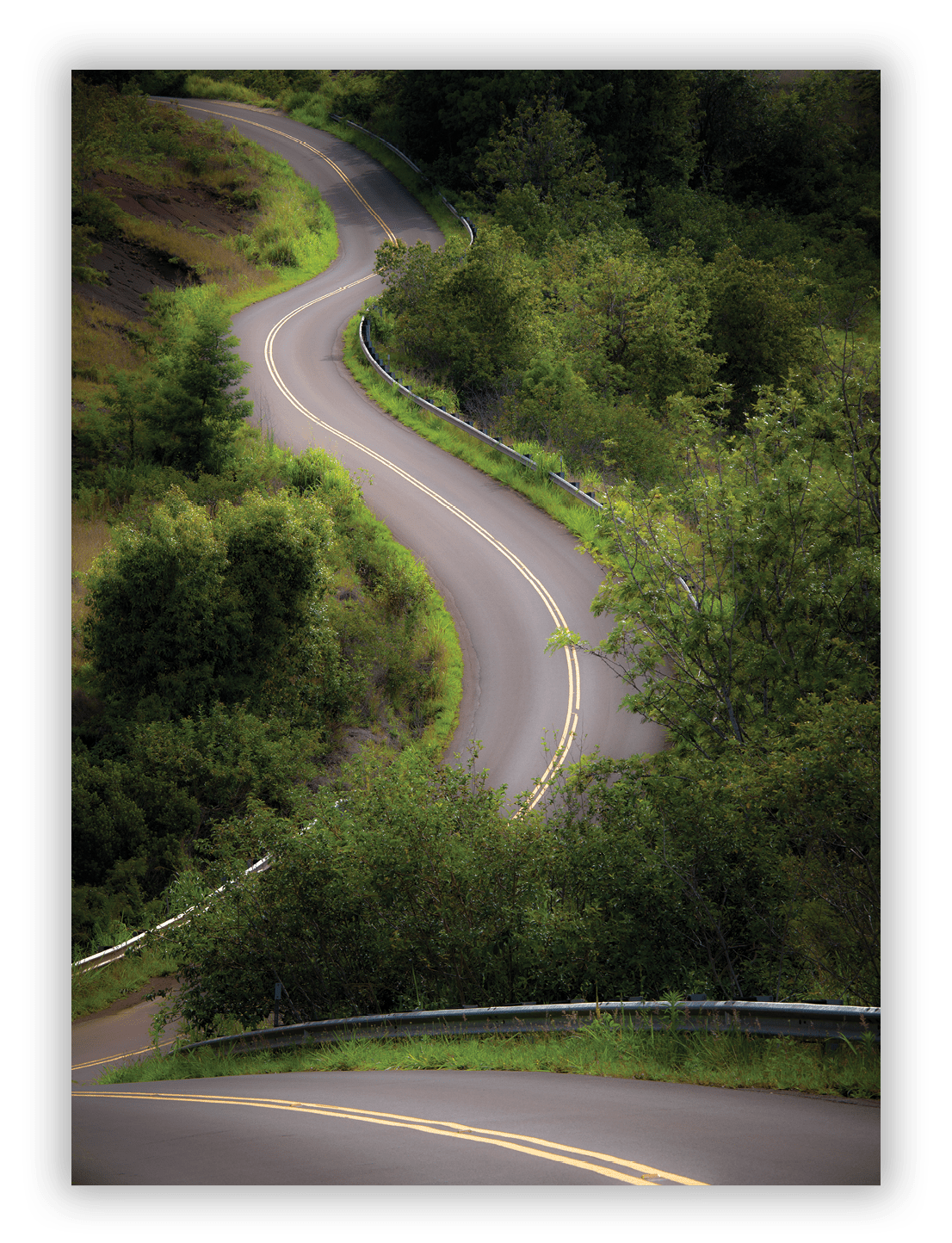 On Waimea Canyon Road