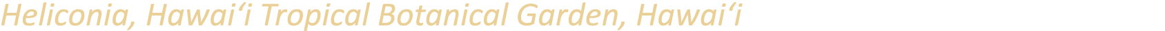 Heliconia, Hawai‘i Tropical Botanical Garden, Hawai‘i