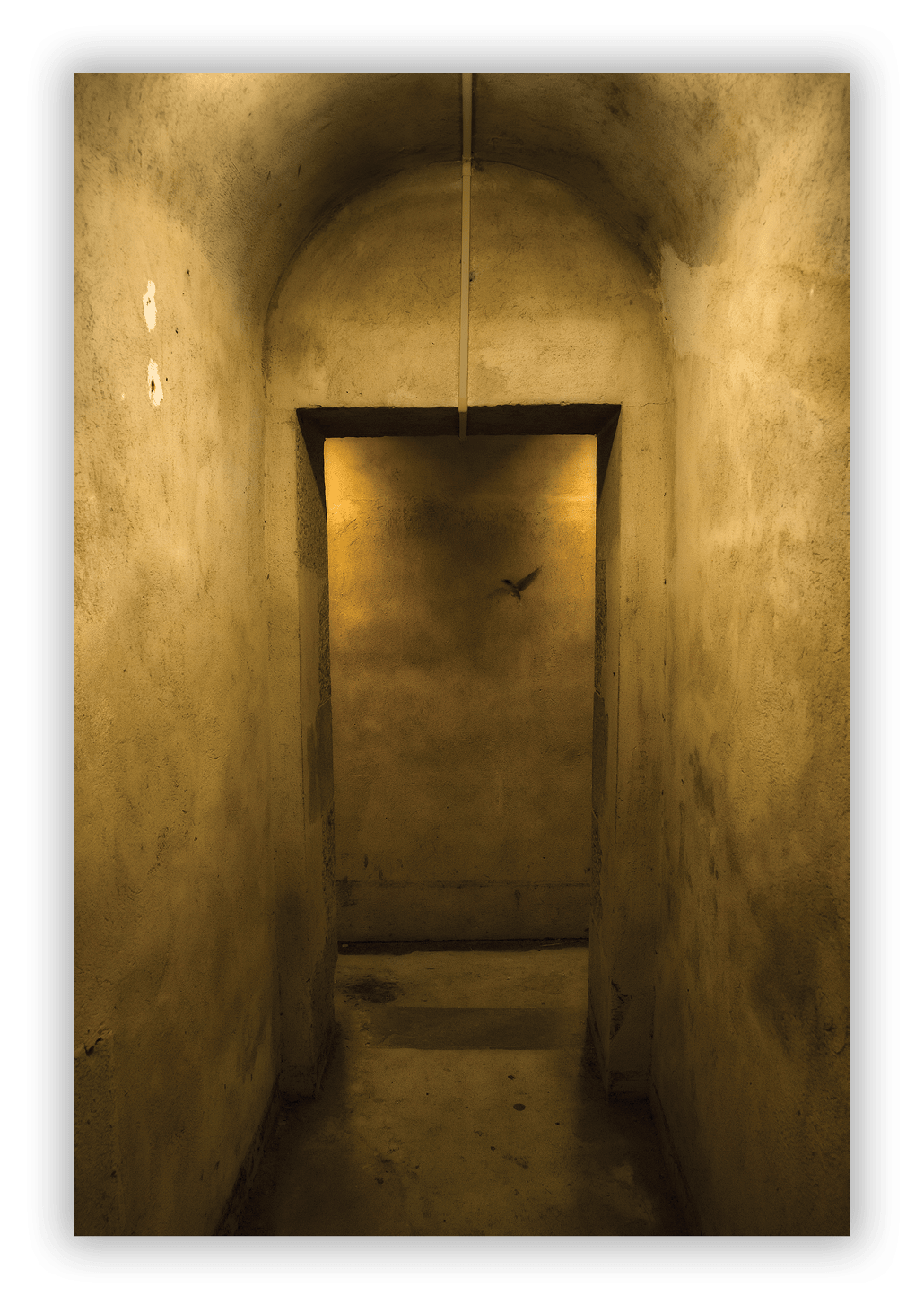 Fort Moultrie, South Carolina