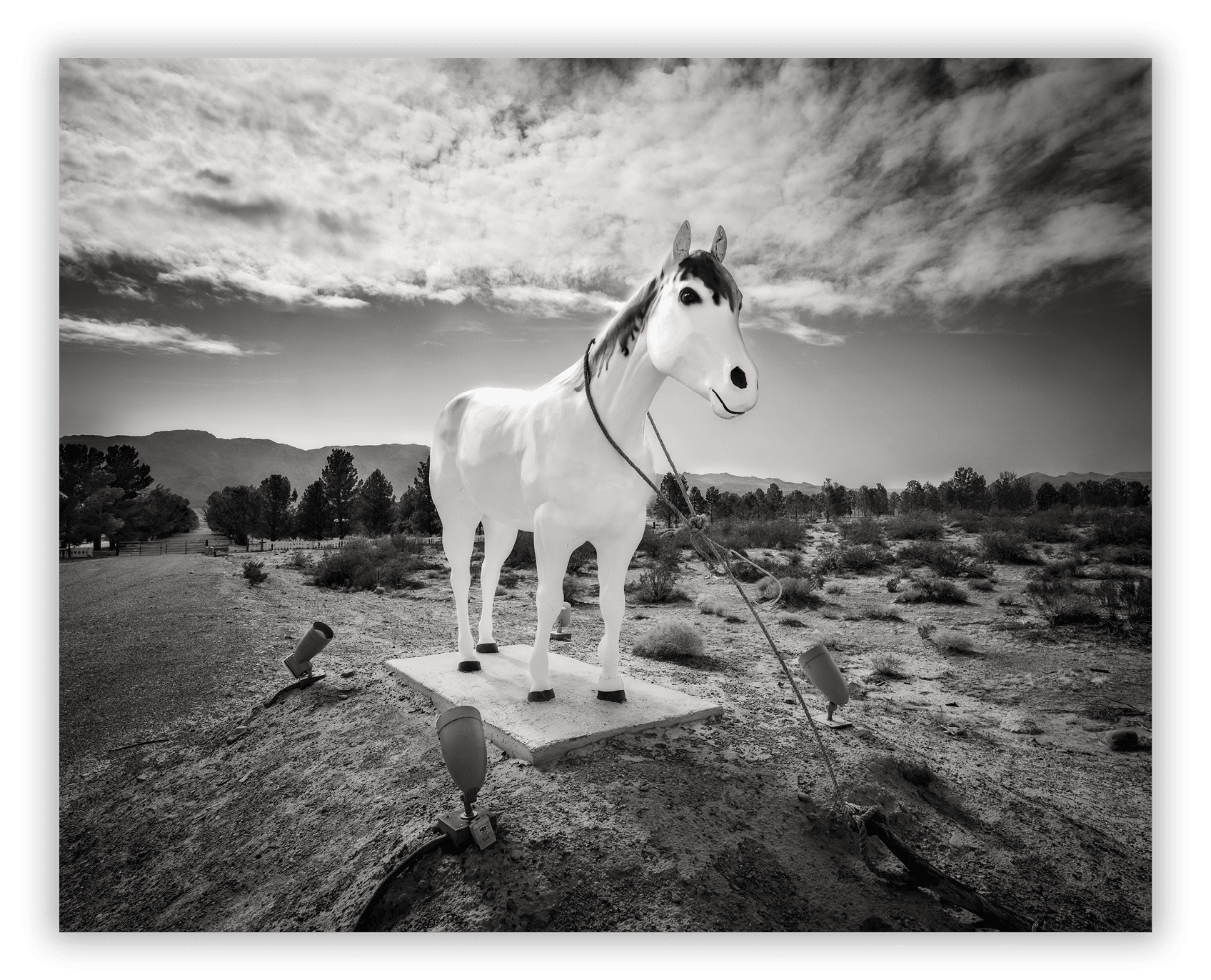 Western Elite Landfill's white horse statue Great Basin Highway Route 93 Nevada