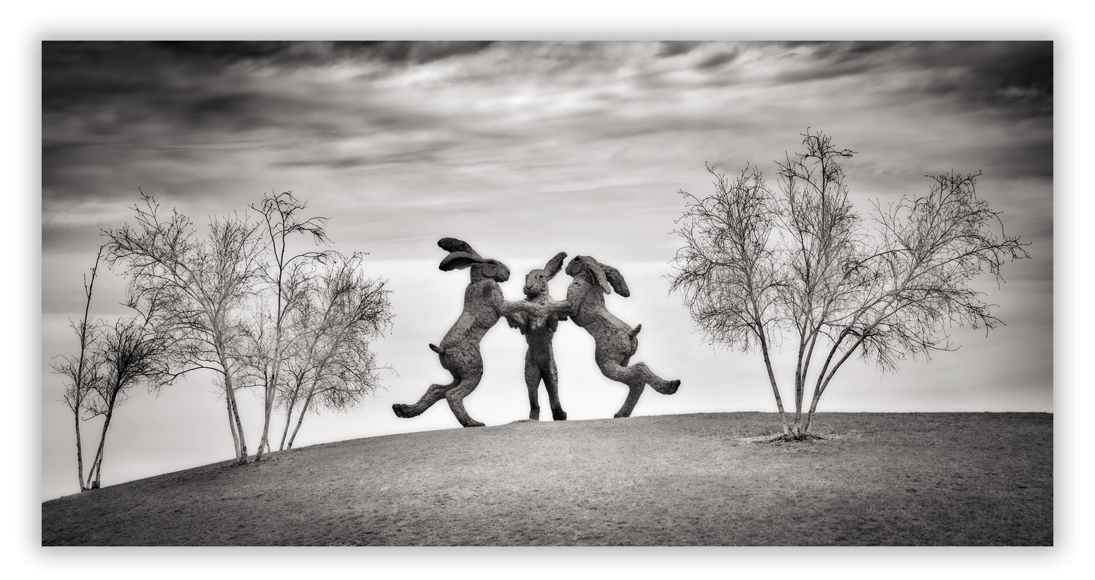 Dancing Rabbits, Dublin, OH