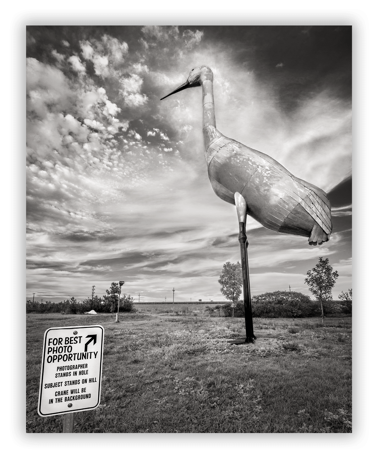World's Largest Sandhill Crane, Steele, ND