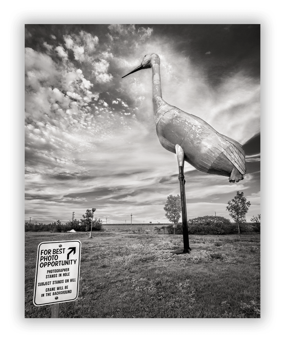 World's Largest Sandhill Crane, Steele, ND