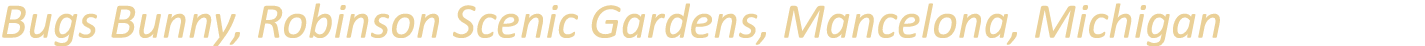 Bugs Bunny, Robinson Scenic Gardens, Mancelona, Michigan 