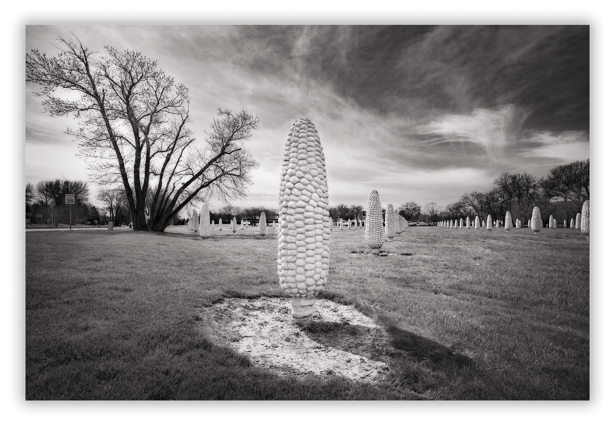 Field of Giant Corn Cobs, Dublin, OH