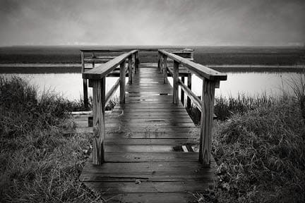 Imacon Color Scanner