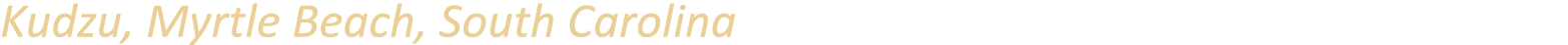 Kudzu, Myrtle Beach, South Carolina