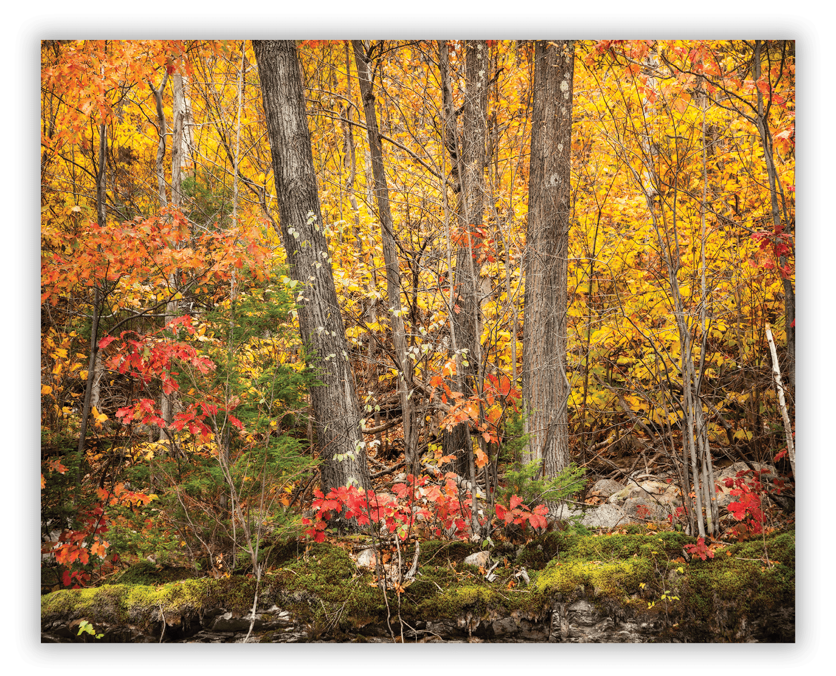 Near the hairpin turn, Route 2