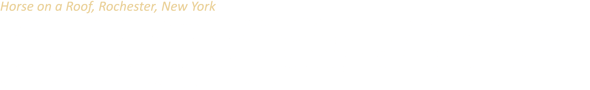 Horse on a Roof, Rochester, New York A legacy of the Horses on Parade public art project from 2001, this statue is on...